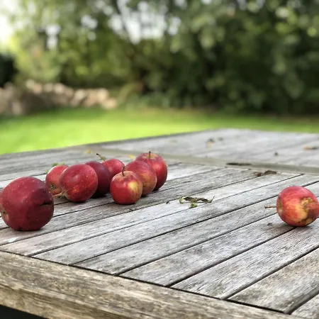 بيت للعطل Nils Holgersson كاليفورنيان