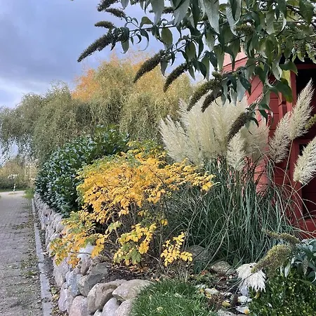 Nils Holgersson بيت للعطل كاليفورنيان