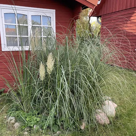 Nils Holgersson بيت للعطل