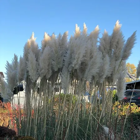 بيت للعطل Nils Holgersson كاليفورنيان