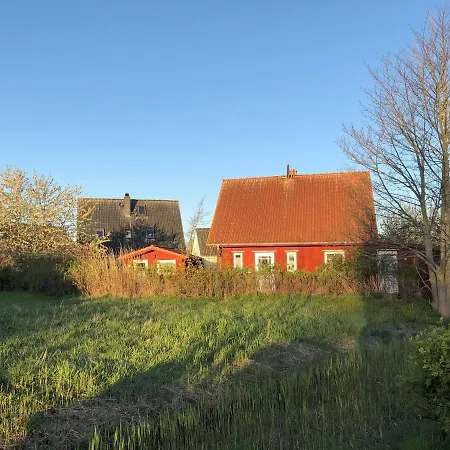 Nils Holgersson * كاليفورنيان