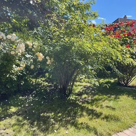 Nils Holgersson بيت للعطل كاليفورنيان