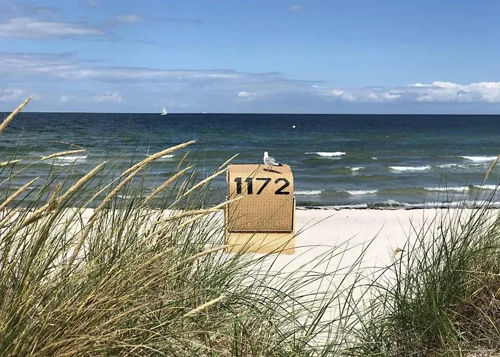 Дом отдыха Nils Holgersson *