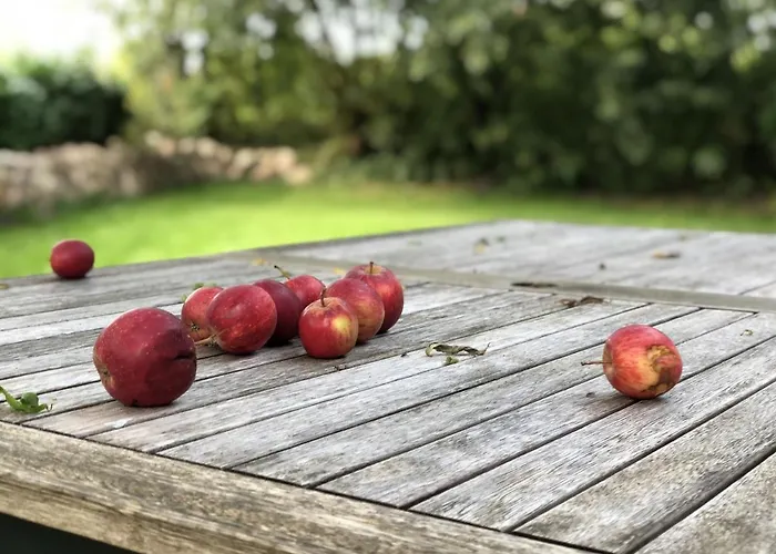 Дом отдыха Nils Holgersson Калифорниен