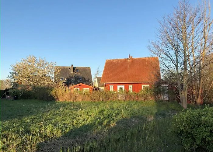 Nils Holgersson * Калифорниен