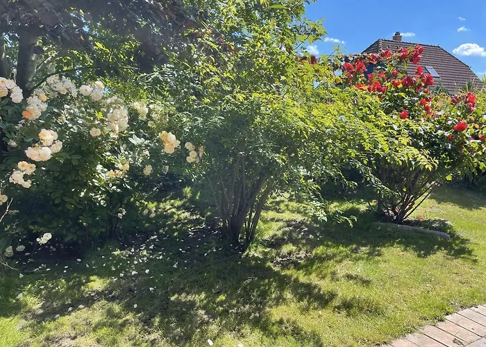 Nils Holgersson Дом отдыха Калифорниен